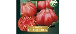 Tomate Côtelée LANTERNA HF1 - VILMORIN