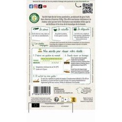 Conditionnement Tomate Côtelée LANTERNA HF1 - VILMORIN