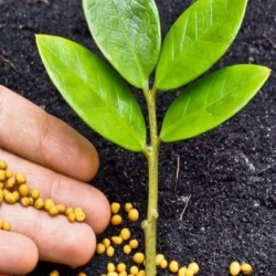 N'MAKER 46 - avec Limus - Engrais Granulé