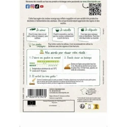 Betterave Fourragère Jaune Géante de Vauriac - VILMORIN