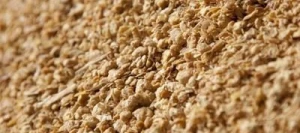 Tourteau soja 48 tracé farine - Matière première