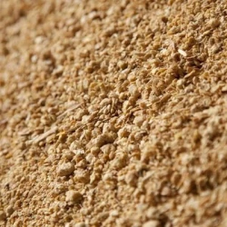 Tourteau soja 48 tracé farine - Matière première