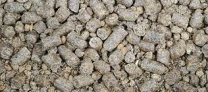 Tourteau de colza farine/pellets - Matière première