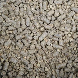 Tourteau de colza farine/pellets - Matière première