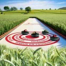 Triticale CURLING VIBRANCE GOLD