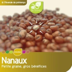 Féverole NANAUX non traité