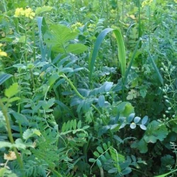 Couverts ME TEMPO Bio AB non traité