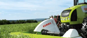 Ray grass d'Italie ISIDOR AB non traité