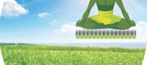 Pois protéagineux FAQUIR non traité