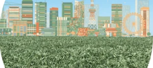 Féverole NAGOYA non traité