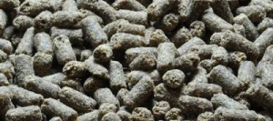 RUMI-TOP - Croquette - Aliment extrudé