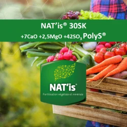 NAT'is 30SK - 2,5 MgO - 7 CaO - 42 soufre - Engrais granulé UAB