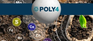 POLY4 SK - 6 MgO - 17 CaO - 48 soufre - Engrais granulé UAB