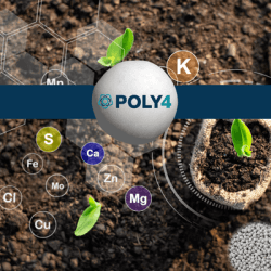 POLY4 SK - 6 MgO - 17 CaO - 48 soufre - Engrais granulé UAB