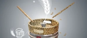 Orge 2R ALLEGRO VIBRANCE GOLD