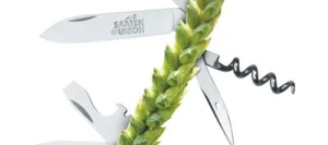 Blé tendre LENNOX AB COPSEED