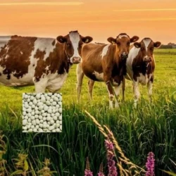 AMAL'pré soufré 24 - 18 soufre - Sélénium - Engrais Granulé