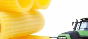 Blé dur ANVERGUR AB CERALL