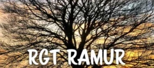 Blé dur RAMUR AB CERALL