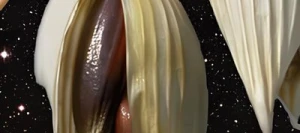 Avoine CELESTE noire VIBRANCE GOLD