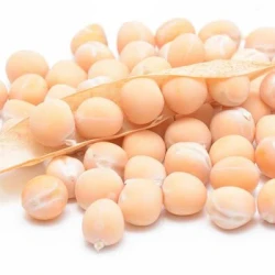 Pois protéagineux ICONIC PREPPER