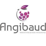 ANGIBAUD