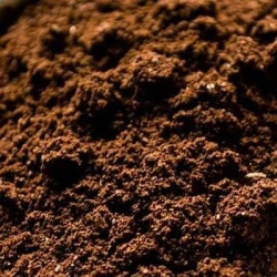 2.2.2 ISMO - Amendement organique UAB