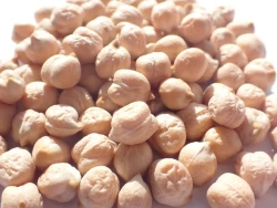 Pois chiche RONDO non traité