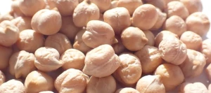 Pois chiche RONDO non traité