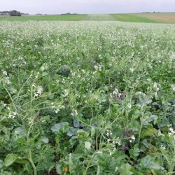 Couverts TERR'ACTIV JET S.A.S FLY AB S.A.S FLY