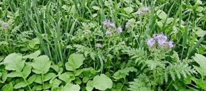 Couverts TERR'ACTIV PROTECT non traité