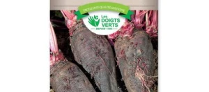 Betterave CRAPAUDINE - LES DOIGTS VERTS