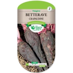 Betterave CRAPAUDINE - LES DOIGTS VERTS