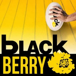 Colza BLACKBERRY non traité
