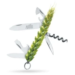 Blé tendre LENNOX AB traité vinaigre