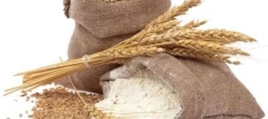 Blé tendre GRANNOSOS AB traité vinaigre