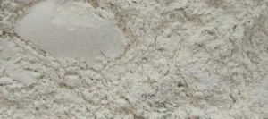 CALCIVIT Mg 45.7 - Amendement PV