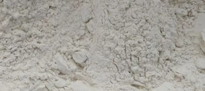 CALCIVIT 56 - Amendement PV