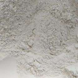 CALCIVIT 56 - Amendement PV