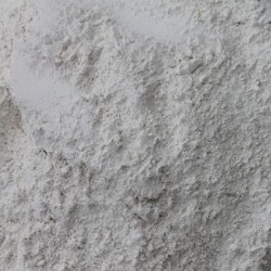 CALCIVIT 55 - Amendement DR 