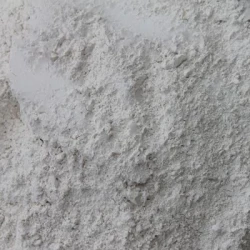 CALCIVIT 55 - Amendement DR