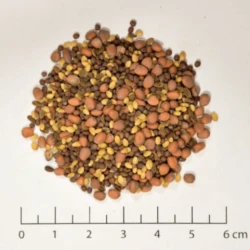 Couverts TERR'ACTIV Opti non traité