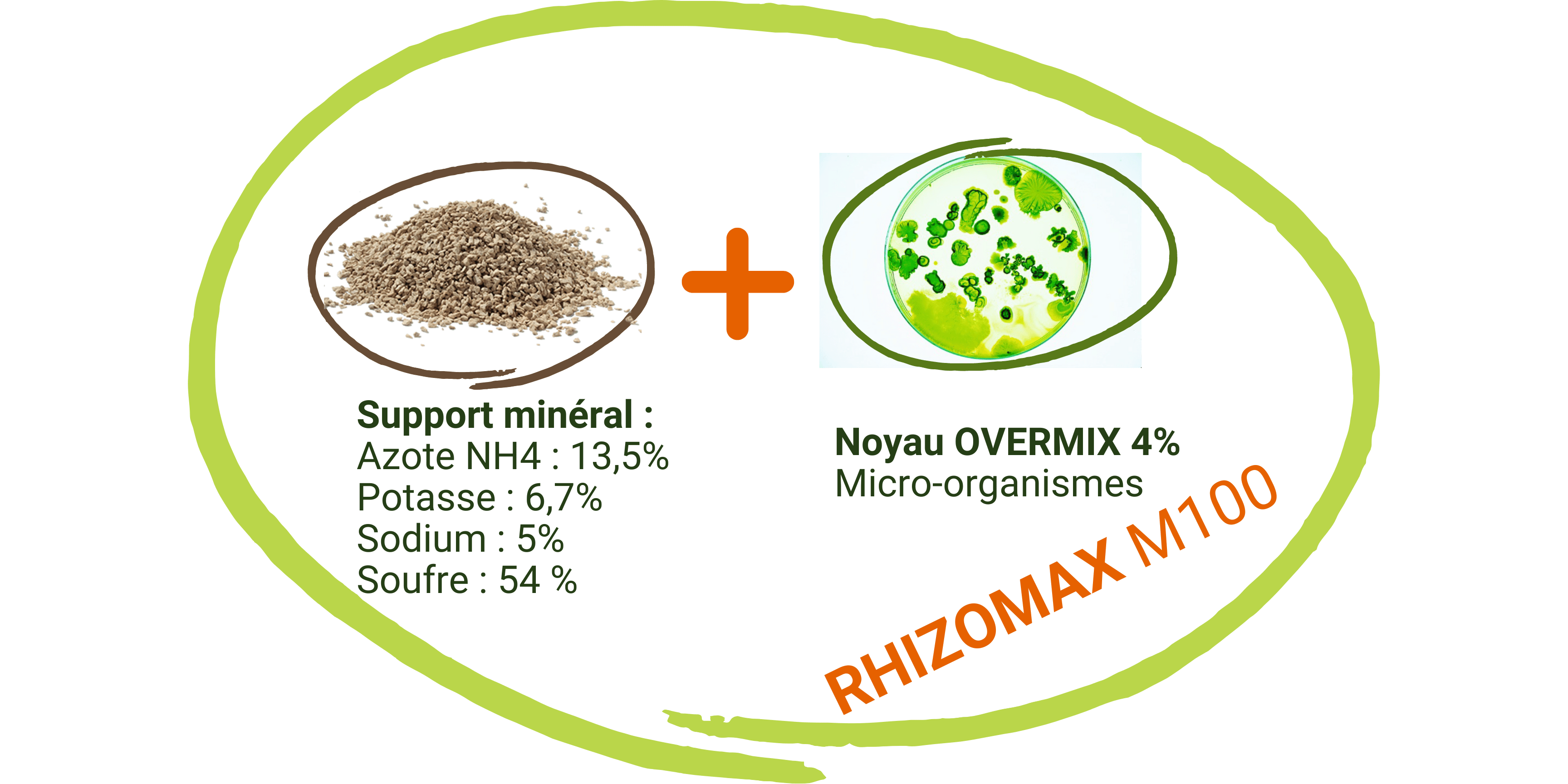 Engrais biostimulant RHIZOMAX